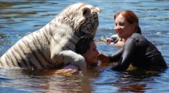 Белый тигренок и Джон Варти в воде
