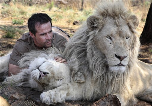 Кевин Ричардсон тискается с белыми львами