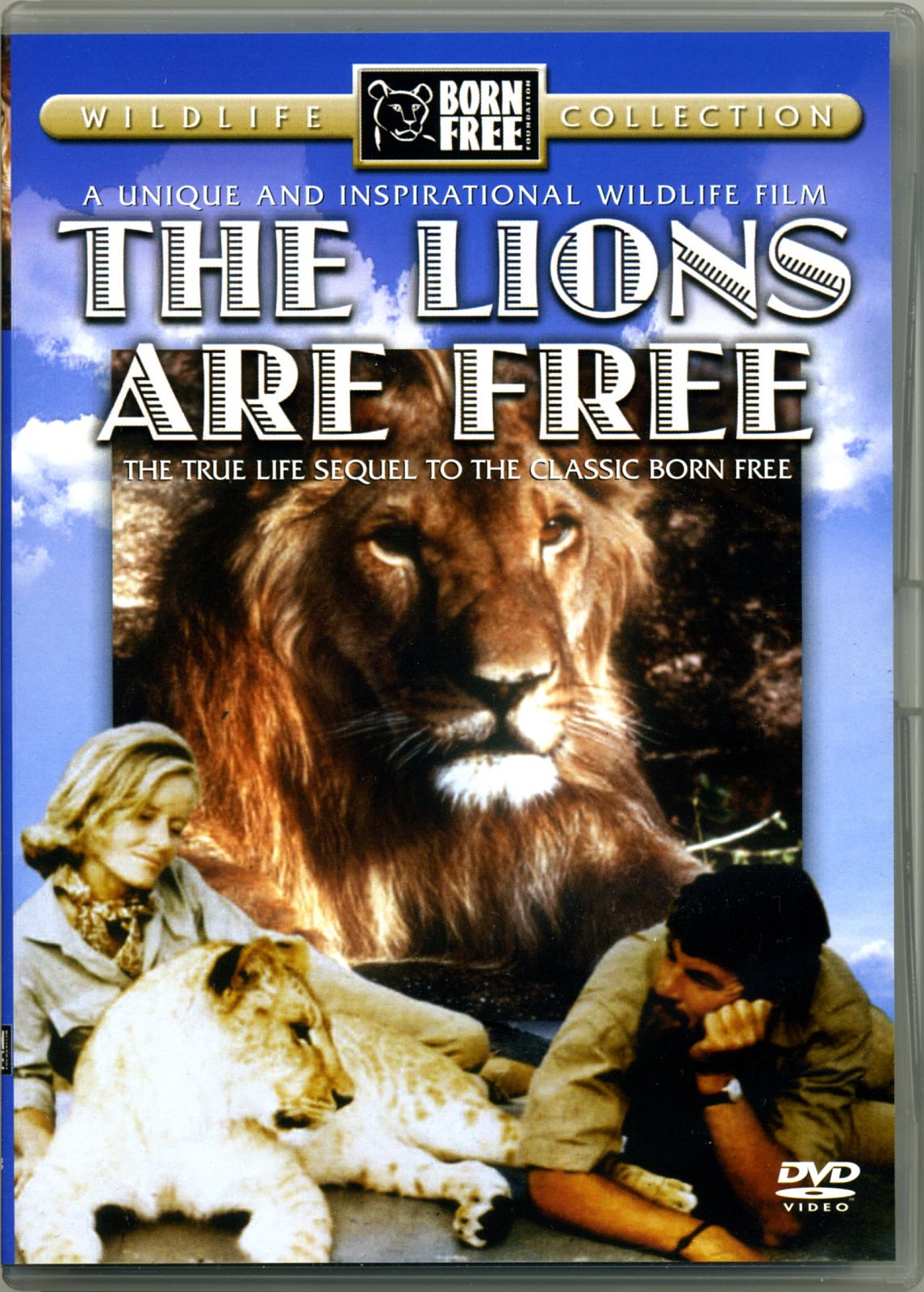 The Lions are Free