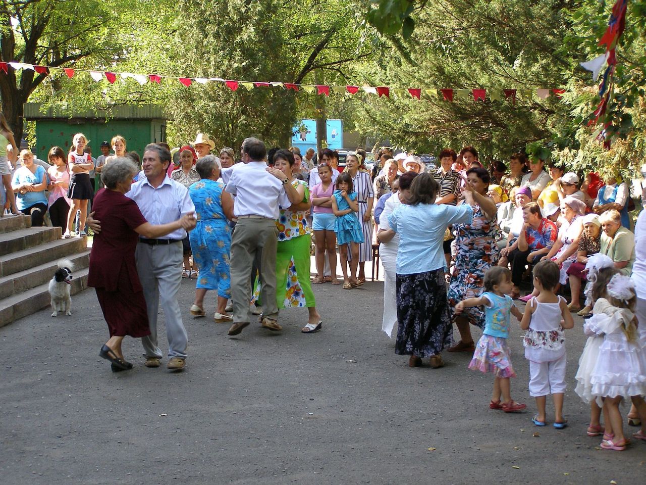 Грай, гармошко