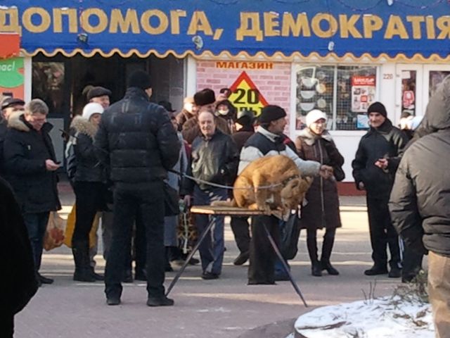 Левеня мучать у Херсоні