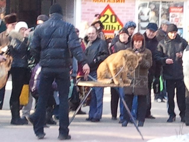 Левеня мучать у Херсоні